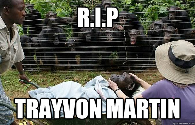 R.I.P trayvon martin  RIP trayvon martin