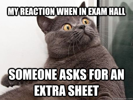my reaction when in exam hall someone asks for an extra sheet - my reaction when in exam hall someone asks for an extra sheet  conspiracy cat
