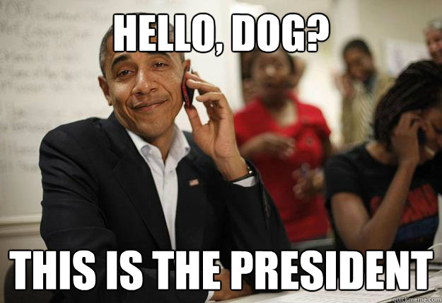 hello, dog? this is the president  