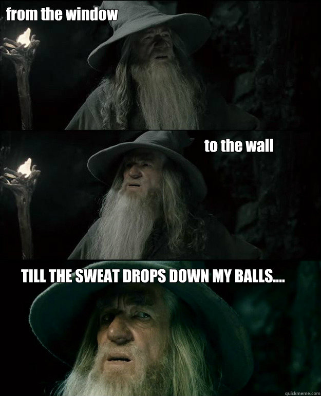 from the window to the wall TILL THE SWEAT DROPS DOWN MY BALLS....  Gandalf und das Spanischstudium