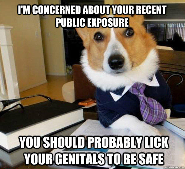I'm concerned about your recent public exposure you should probably lick your genitals to be safe - I'm concerned about your recent public exposure you should probably lick your genitals to be safe  Lawyer Dog