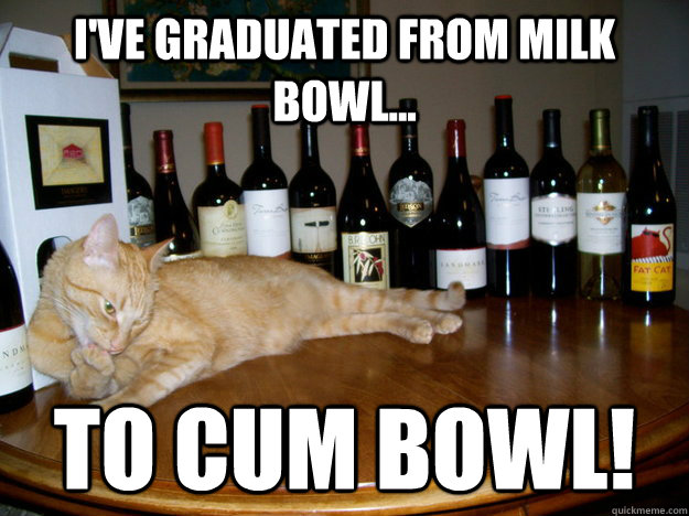 I've graduated from milk bowl... to cum bowl!  Seductive Cat