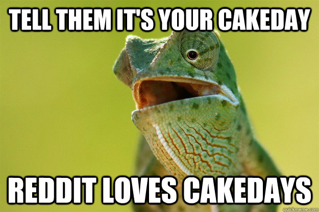 tell them it's your cakeday reddit loves cakedays - tell them it's your cakeday reddit loves cakedays  Karma Karma Karma Karma Karma Cameleon