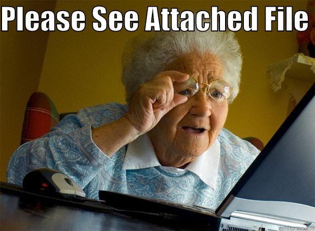 PLEASE SEE ATTACHED FILE   Grandma finds the Internet