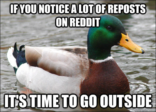 If you notice a lot of reposts on Reddit It's time to go outside - If you notice a lot of reposts on Reddit It's time to go outside  Actual Advice Mallard