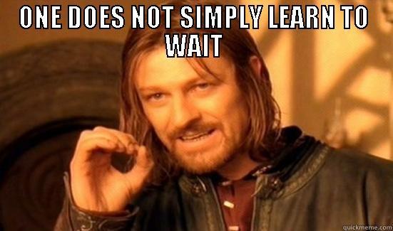 the jasperlings - ONE DOES NOT SIMPLY LEARN TO WAIT  Boromir