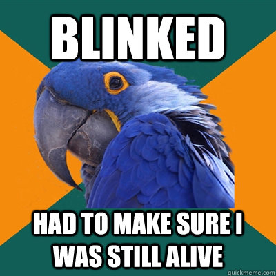 Blinked Had to make sure I was still alive  Paranoid Parrot