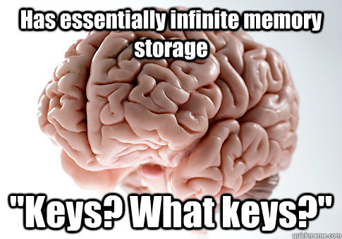 Has essentially infinite memory storage 
