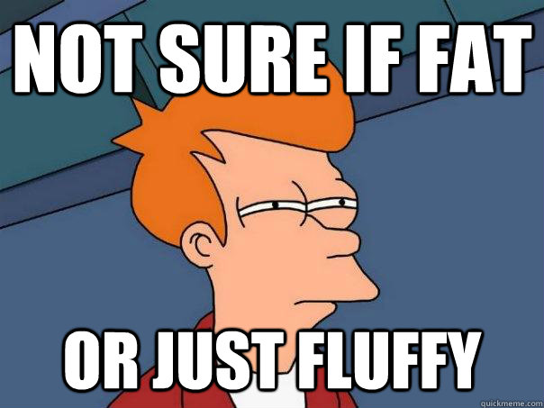Not sure if fat Or just fluffy  Futurama Fry