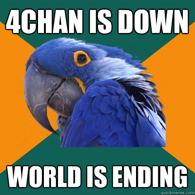 4chan is down world is ending  Paranoid Parrot