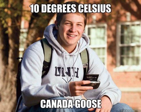 10 degrees celsius Canada goose  College Freshman