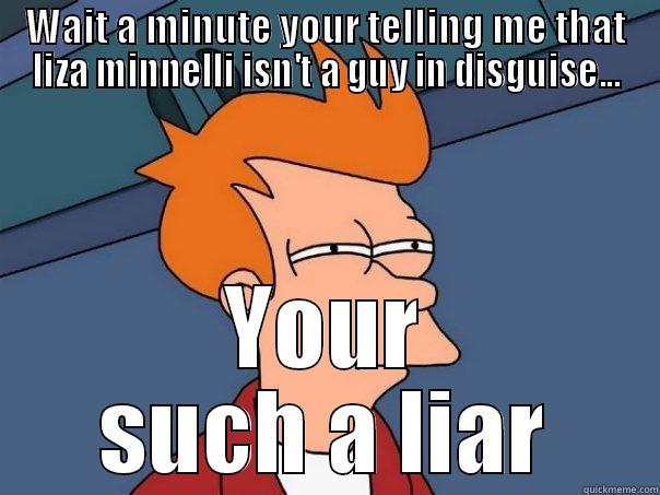 Wait a minute... - WAIT A MINUTE YOUR TELLING ME THAT LIZA MINNELLI ISN'T A GUY IN DISGUISE... YOUR SUCH A LIAR Futurama Fry