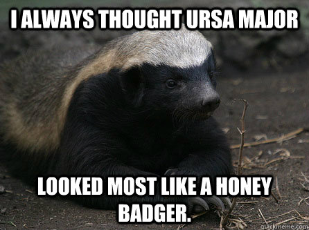 I always thought Ursa Major looked most like a honey badger. - I always thought Ursa Major looked most like a honey badger.  Confession Badger