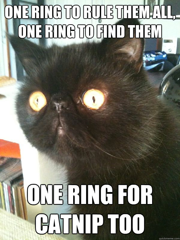 ONE RING TO RULE THEM ALL,
ONE RING TO FIND THEM ONE RING FOR CATNIP TOO - ONE RING TO RULE THEM ALL,
ONE RING TO FIND THEM ONE RING FOR CATNIP TOO  Sauron Cat