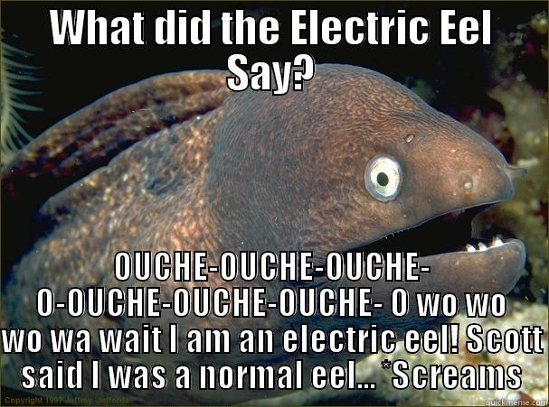 Bad Joke Eel memes | quickmeme