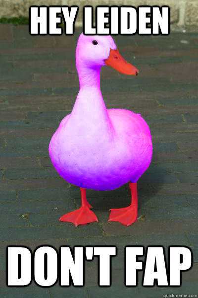 hey leiden don't fap  Purple Duck