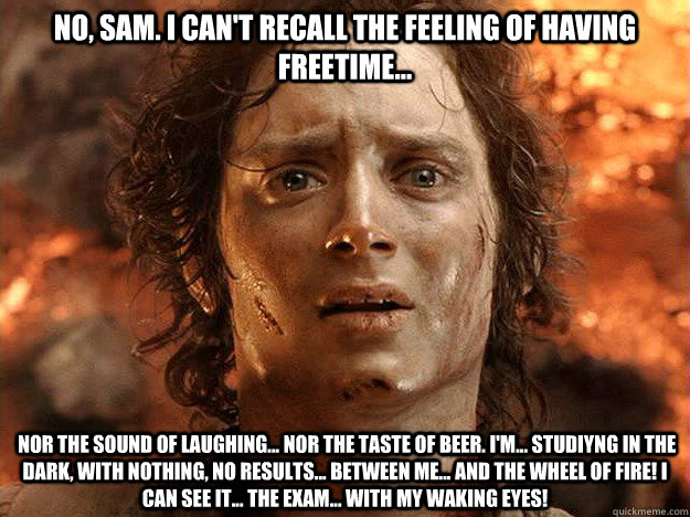 No, Sam. I can't recall the feeling of having freetime...  nor the sound of laughing... nor the taste of beer. I'm... studiyng in the dark, with nothing, no results... between me... and the wheel of fire! I can see it... the exam... with my waking eyes!  - No, Sam. I can't recall the feeling of having freetime...  nor the sound of laughing... nor the taste of beer. I'm... studiyng in the dark, with nothing, no results... between me... and the wheel of fire! I can see it... the exam... with my waking eyes!   frodo