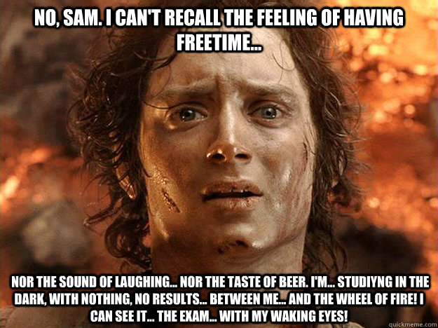 No, Sam. I can't recall the feeling of having freetime...  nor the sound of laughing... nor the taste of beer. I'm... studiyng in the dark, with nothing, no results... between me... and the wheel of fire! I can see it... the exam... with my waking eyes!   frodo