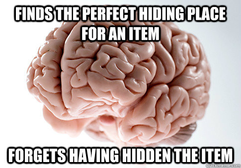 finds the perfect hiding place for an item forgets having hidden the item  Scumbag Brain