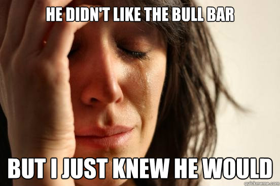 he didn't like the bull bar but i just knew he would  First World Problems