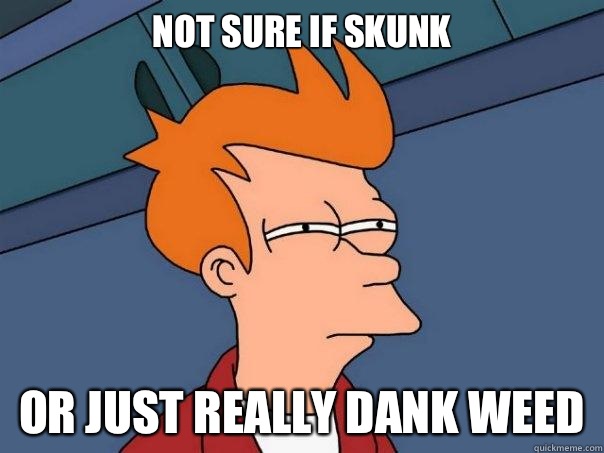 Not sure if skunk or just really dank weed  Futurama Fry