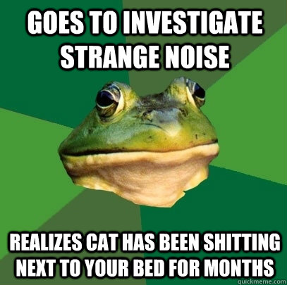 goes to investigate strange noise realizes cat has been shitting next to your bed for months  Foul Bachelor Frog