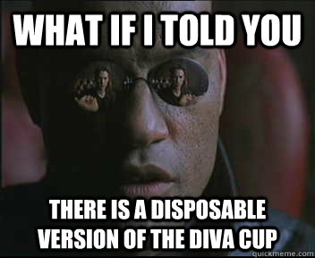 What if I told you there is a disposable version of the diva cup  Morpheus SC