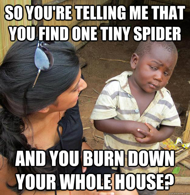 So You're telling me that you find one tiny spider AND you burn down your whole house?  Skeptical 3rd World Kid