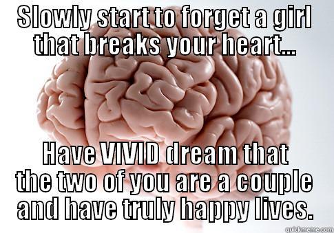 SLOWLY START TO FORGET A GIRL THAT BREAKS YOUR HEART... HAVE VIVID DREAM THAT THE TWO OF YOU ARE A COUPLE AND HAVE TRULY HAPPY LIVES. Scumbag Brain