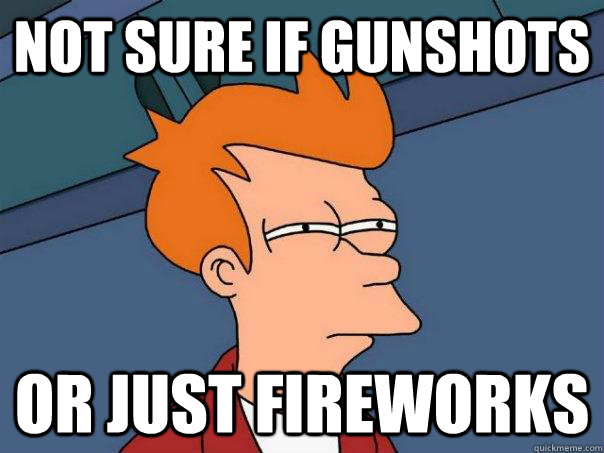 Not sure if gunshots Or just fireworks  Futurama Fry