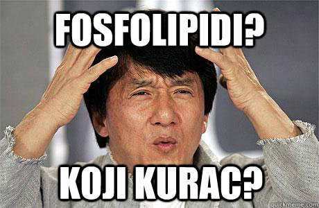 Fosfolipidi? Koji kurac?  EPIC JACKIE CHAN
