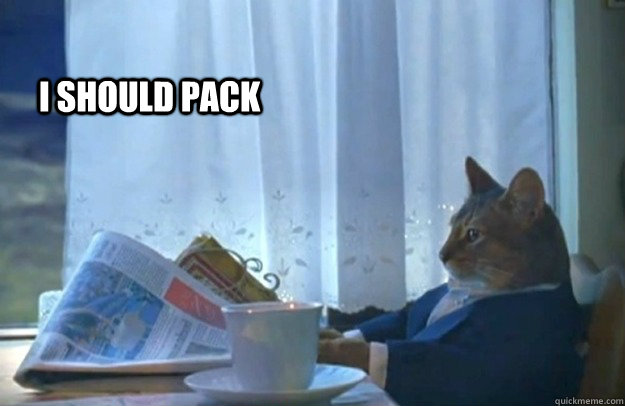 I should pack  Sophisticated Cat