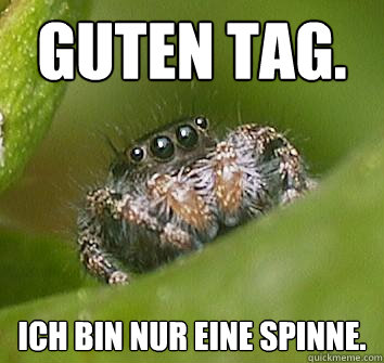 Guten Tag. Ich bin nur eine Spinne. - Guten Tag. Ich bin nur eine Spinne.  Misunderstood Spider