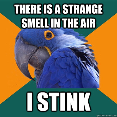 there is a strange smell in the air i stink  Paranoid Parrot