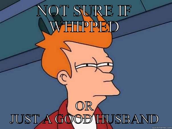NOT SURE IF WHIPPED OR JUST A GOOD HUSBAND Futurama Fry