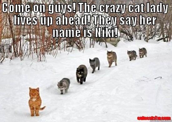 COME ON GUYS! THE CRAZY CAT LADY LIVES UP AHEAD! THEY SAY HER NAME IS NIKI!  Misc