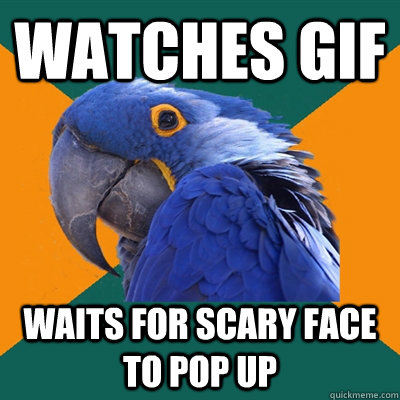 Watches GIF Waits for scary face to pop up - Watches GIF Waits for scary face to pop up  Paranoid Parrot