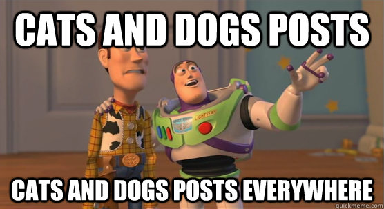 Cats and Dogs Posts Cats and Dogs Posts everywhere  Toy Story Everywhere