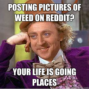 Posting pictures of weed on Reddit? Your life is going places  Creepy Wonka