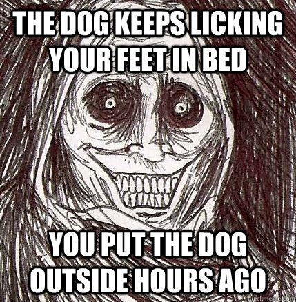 The dog keeps licking your feet in bed you put the dog outside hours ago  Horrifying Houseguest