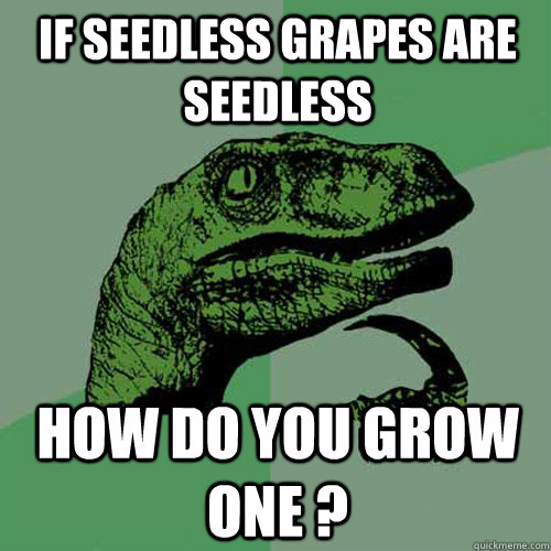 IF SEEDLESS GRAPES ARE SEEDLESS HOW DO YOU GROW ONE ?  Philosoraptor