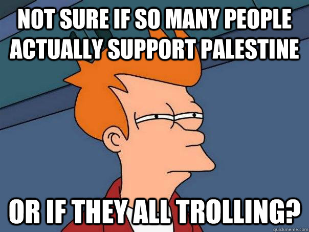Not sure if so many people actually support Palestine or if they all trolling? - Not sure if so many people actually support Palestine or if they all trolling?  Futurama Fry
