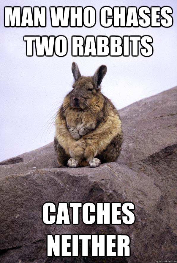 man who chases two rabbits catches neither  Wise Wondering Viscacha