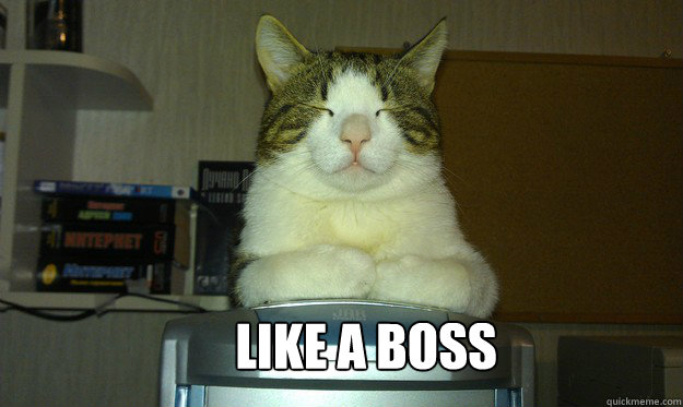 Like a boss  