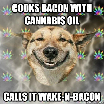 Cooks bacon with cannabis oil Calls it wake-n-Bacon  Stoner Dog