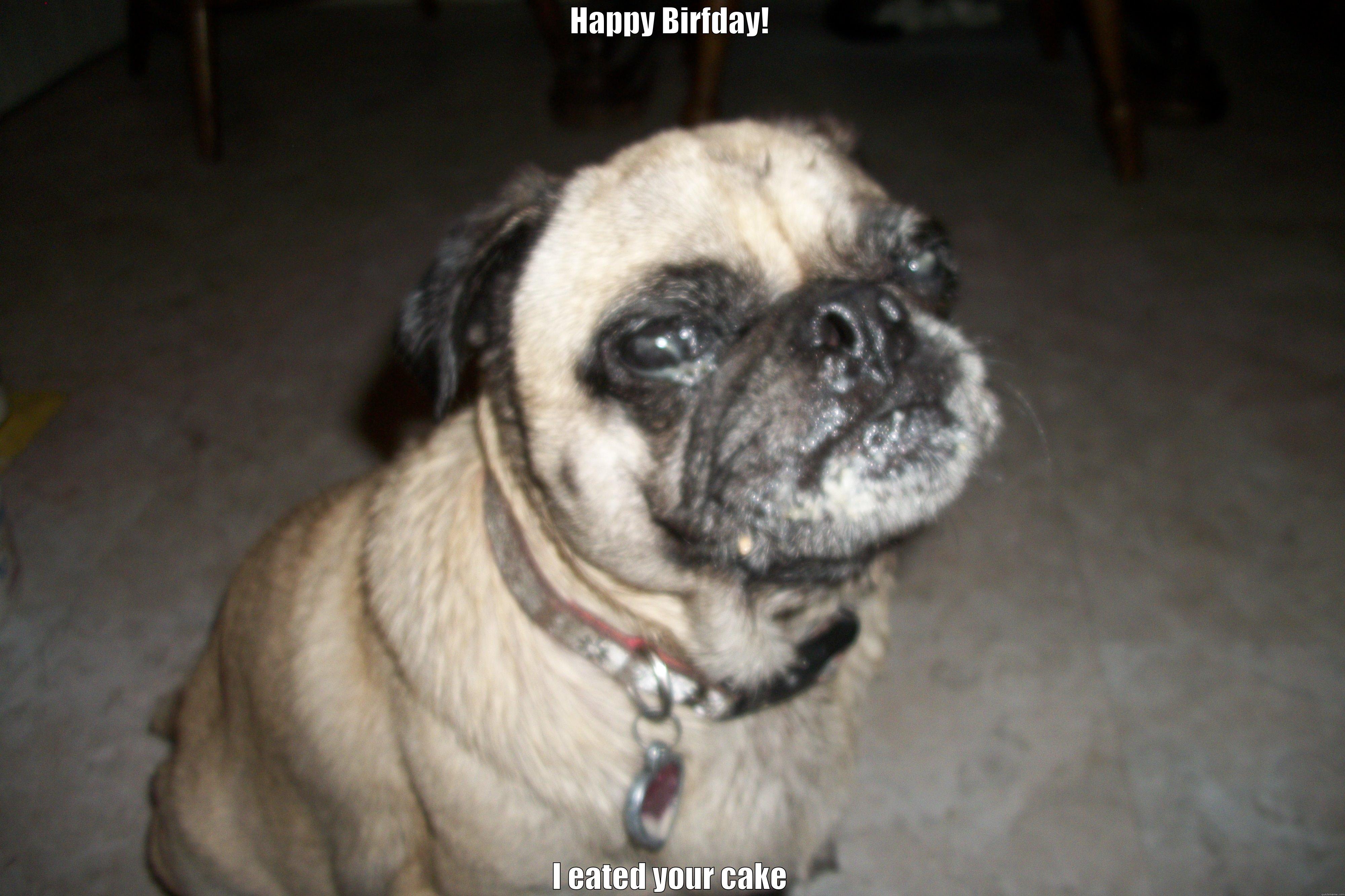 HAPPY BIRFDAY! I EATED YOUR CAKE Misc