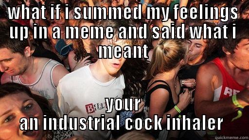 WHAT IF I SUMMED MY FEELINGS UP IN A MEME AND SAID WHAT I MEANT YOUR AN INDUSTRIAL COCK INHALER  Sudden Clarity Clarence