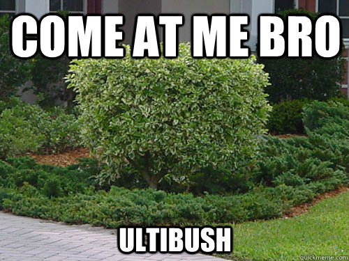 Come At me bro ultibush  bush league baseball