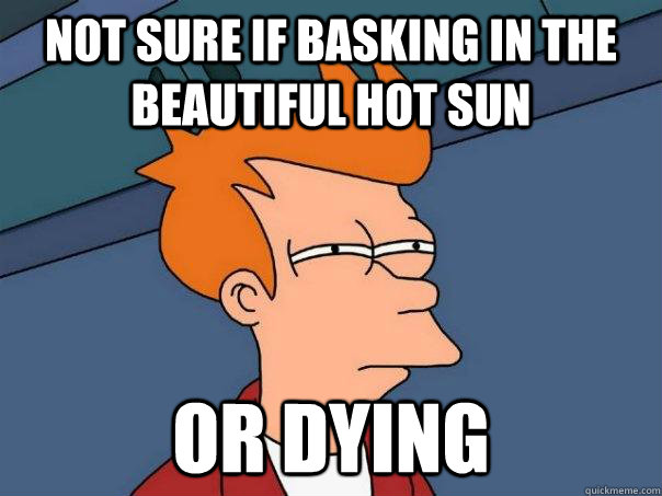 Not sure if basking in the beautiful hot sun Or dying  Futurama Fry