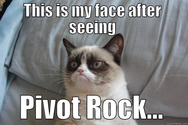 THIS IS MY FACE AFTER SEEING PIVOT ROCK... Grumpy Cat